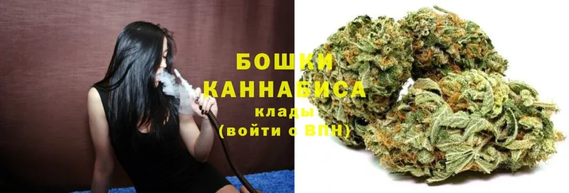 купить наркотик  Колпашево  МЕГА вход  Бошки Шишки THC 21% 